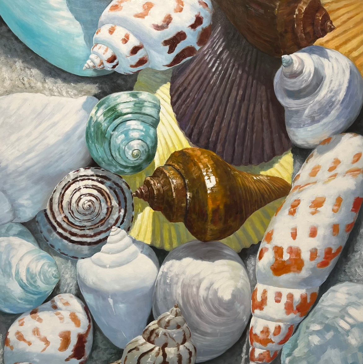 Premium Seashell Wall Art
